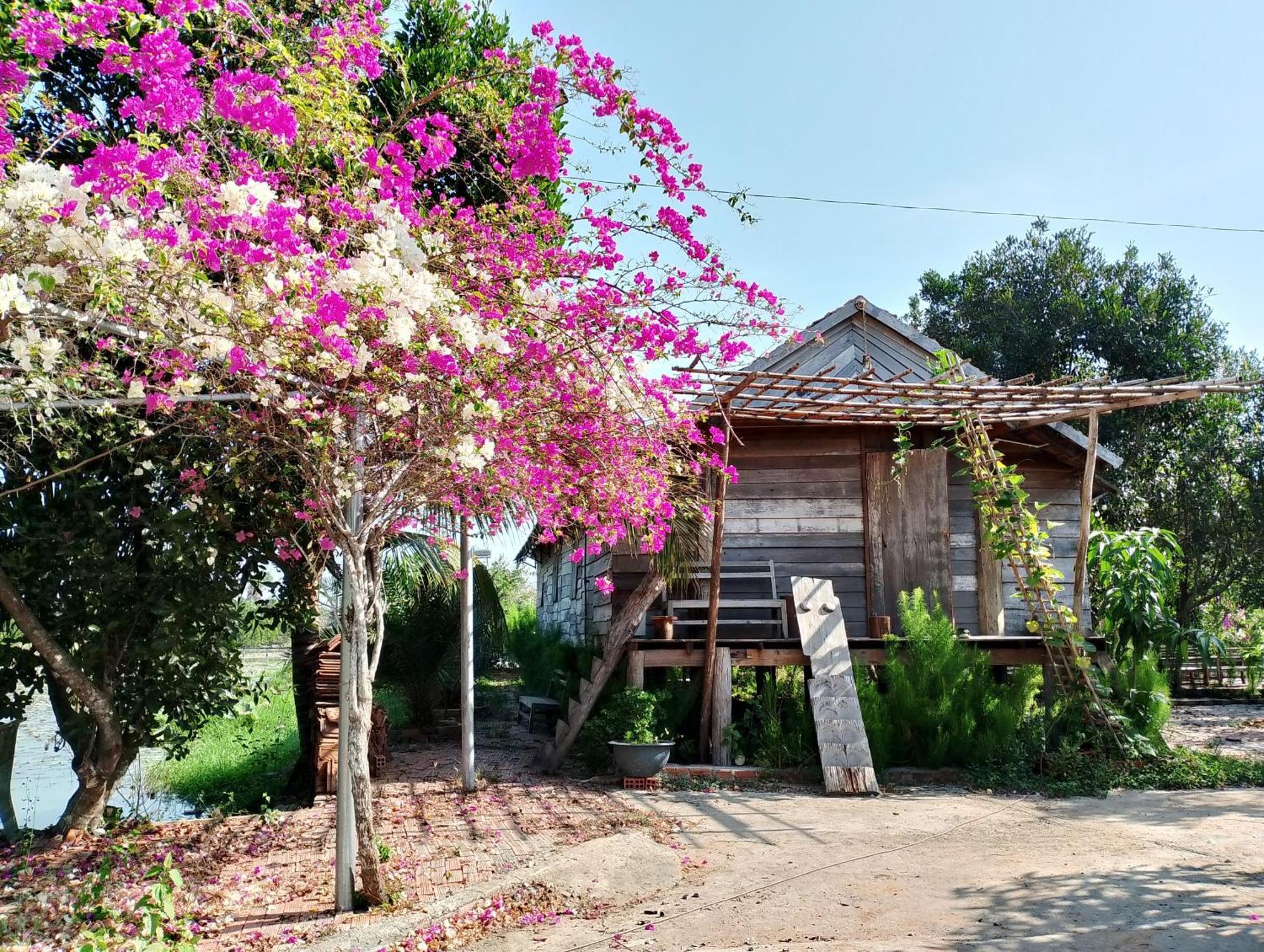 La'S Farmstay Trang Bang Exterior foto