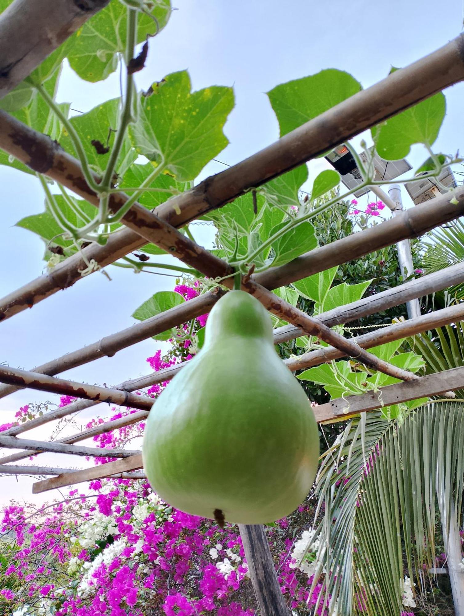 La'S Farmstay Trang Bang Exterior foto