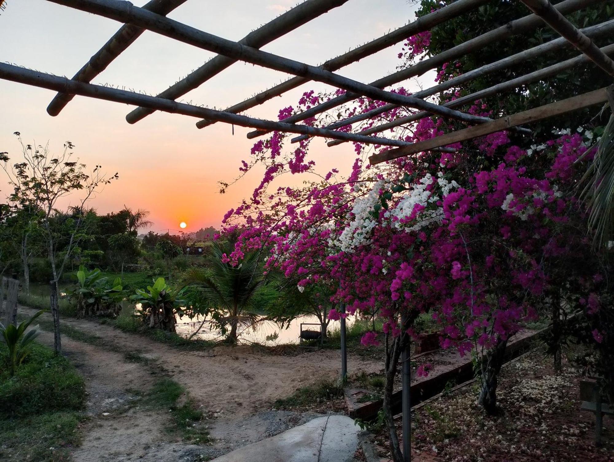 La'S Farmstay Trang Bang Exterior foto