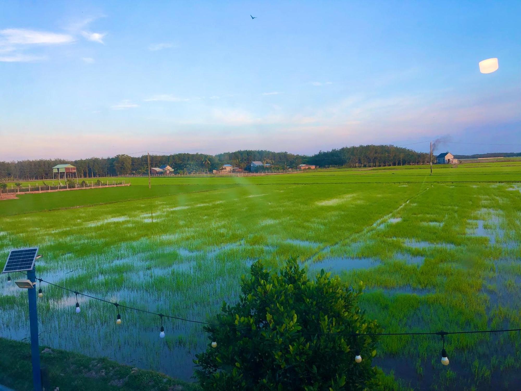 La'S Farmstay Trang Bang Exterior foto